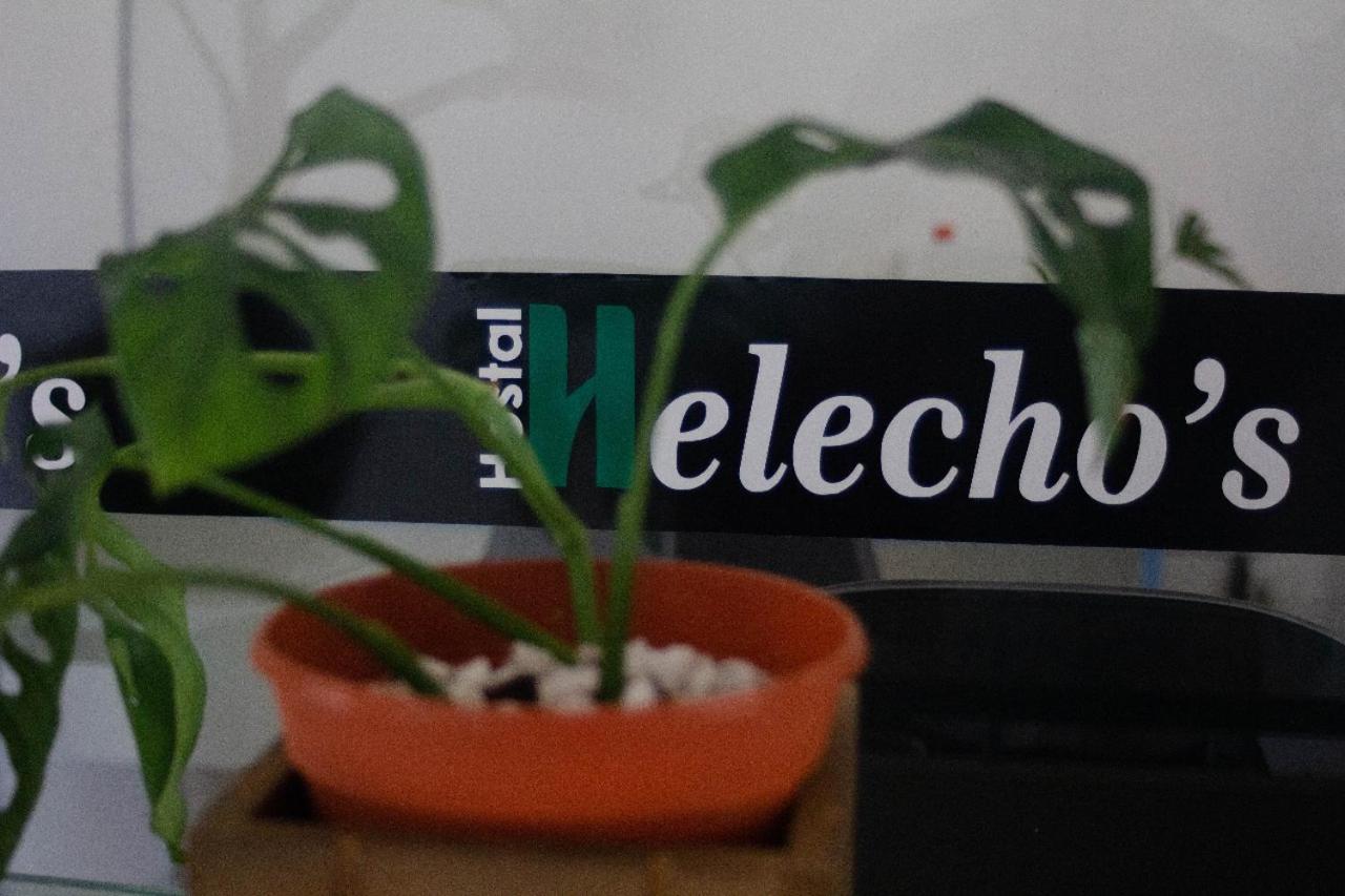 Helecho'S Hostal Ostello Encarnación Esterno foto